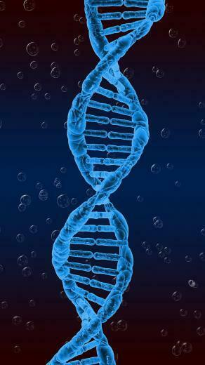 HD Wallpaper Dna Spiral Genetics Twisted