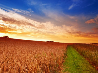Farm Country Field Wallpaper Conservatives Weave A Ragged History