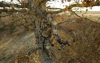 Blue Mossy Oak Camo Wallpaper Treestand