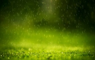 Rain Drops Wallpaper HD