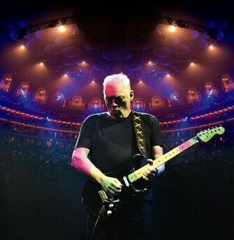 David Gilmour Wallpaper Weddingdressin