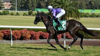 Horse Racing Wallpaper Pictures Image
