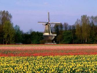 Keukenhof Gardens Lisse The Netherlands Wallpaper