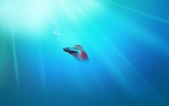 Windows Wallpaper Beta Fish Myspace Background