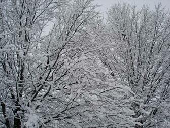 Largest Snow On Record For Dallas Ft Worth Keith Combs Blahg