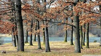 Outdoor Scenery Wallpaper