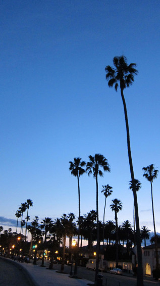 California Aesthetic X Wallpaper