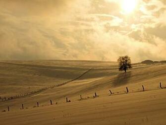 Pics Photos Winter Sun Wallpaper