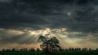 Under Cloudy Sky Nature HD Wallpaper