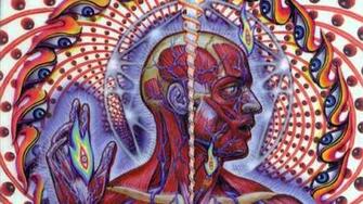 Tool Nima Wallpaper Top Background