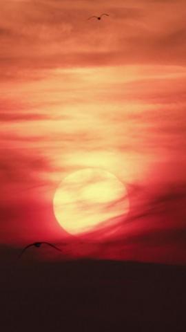 Best Sun iPhone HD Wallpaper