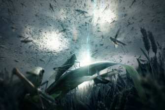 Dark Animal HD Wallpaper By Wang Jie