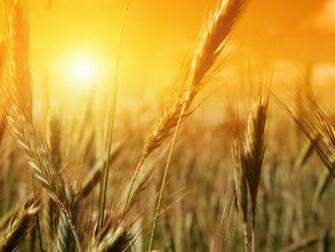 Cool Sunset Grain Wallpaper HD Wallpaperlepi