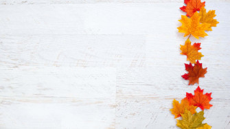 Cute Thanksgiving Background Wallpaper