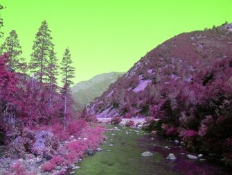 Pink Nature Wallpaper Dhwx Pixel HD