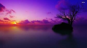 Misty Wallpaper