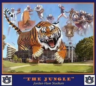 War Eagle Graphics Code Comments Pictures