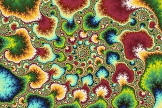 Shroom Wallpaper HD All Shrooms Products