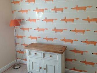 Mr Fox In Ginger Part Of The Spirit And Soul Range From Scion