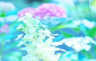 Cell Phone Screensavers Nature Screensaver And Wallpaper