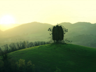 Dark Green Hill Wallpaper