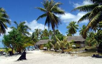 Tropical Summer Desktop Pc And Mac Wallpaper