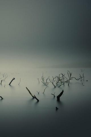 Calm Overcast Mobile Wallpaper Mobiles Wall