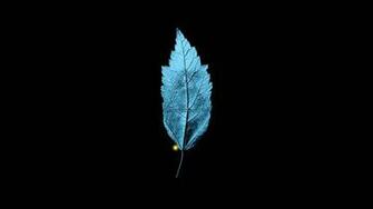 Fringe Wallpaper High Quality And Resolution