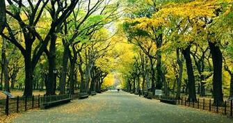 Of All Because I Hear There Is Nothing Quite Like New York In The Fall
