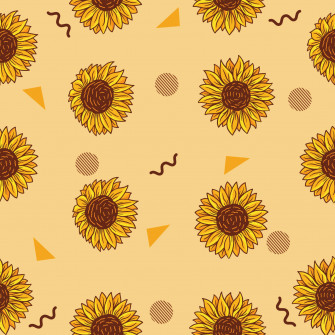 Soft Aesthetic Picture Wallpaper