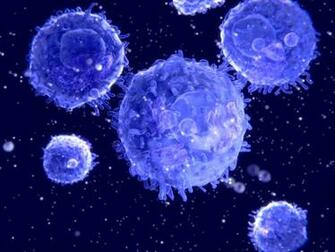 Researchers Discover A Melanoma Intrinsic Pathway That Blocks Anti