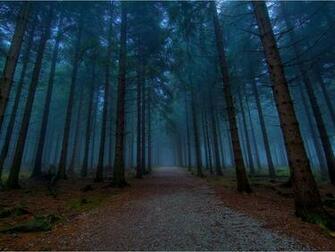 Wallpaper Twilight Forest