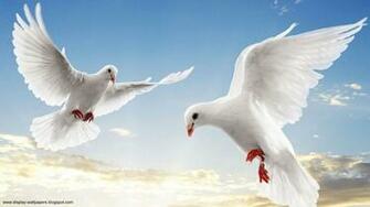 Animals Wallpaper For And Sharing These To