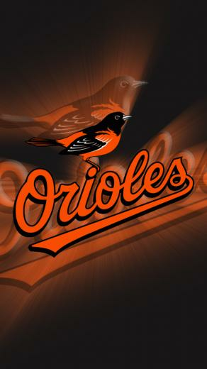 Wallpaper Orioles Animals Birds Bird Animal HD Px