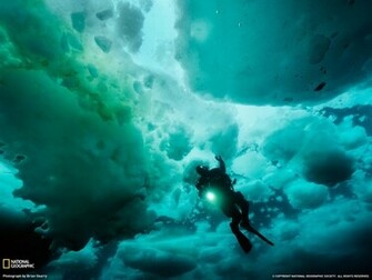 Wallpaper Photo Discovery Html