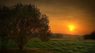 Desktop Background Wallpaper Gunnarsimonsen Sunset Lonely Image