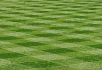 Baseball Field Background