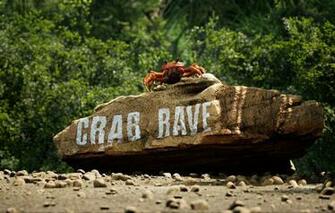 Wallpaper Music Cover Monstercat Noisestorm Crab Rave Image