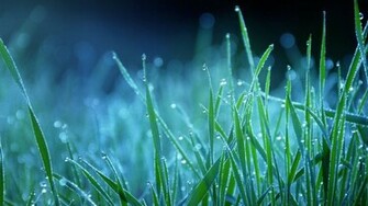 Monsoon Wallpaper