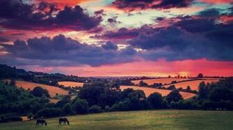 Sunset Clouds Landscapes Nature Trees Animals Fields Hills