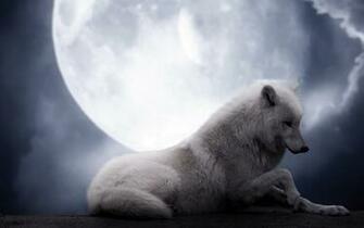 Wolf Wallpaper For Mac Dawallpaperz
