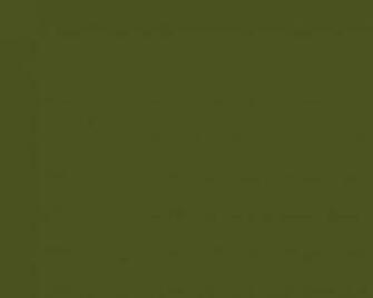 Green Solid Color Background And The Below
