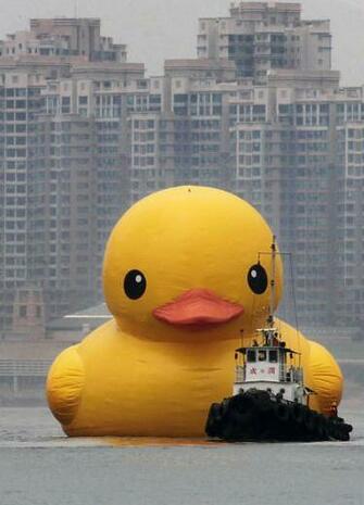 Giant Rubber Ducky Wallpaper