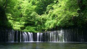 Forest Wallpaper Rainy Wallpapaer Background Rain