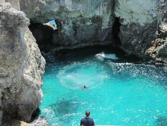Cliff Divers In Negril Wallpaper Picswallpaper