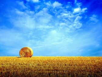 Wallpaper Nature
