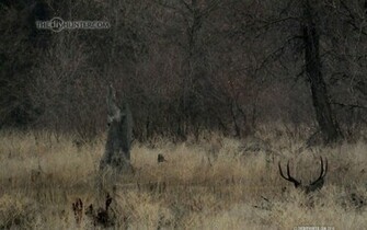 The Diy Hunter Hunting Wallpaper