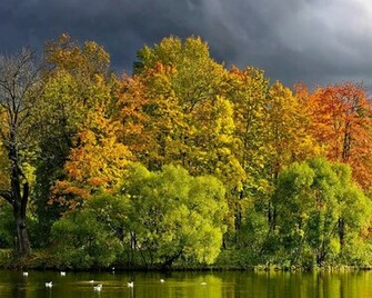 Fall Desktop Wallpaper