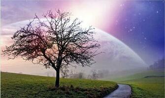 Tree Of Life Desktop Background Wallpaper