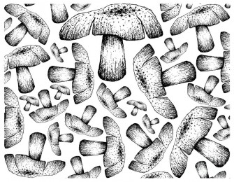 Hand Drawn Wallpaper Background Of Autumn Mushrooms Drawing By Iam